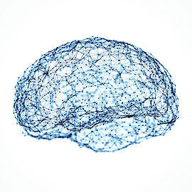 Gehirn mit Netzwerk eingezeichnet
