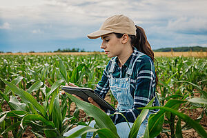 Frau im Feld arbeitet mit Tablet