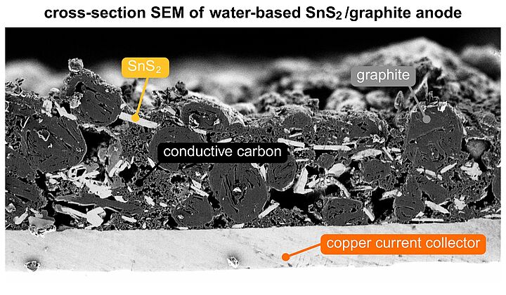 Querschnitt einer in MoSiLIB entwickelten Anode aus SnS₂ und Graphit, mit einer wasserbasierten Formulierung beschichtet und im Rasterelektronenmikroskop aufgenommen. © AIT/Jana Kupka
