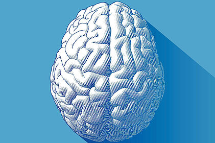 Symbolfoto eines Gehirns
