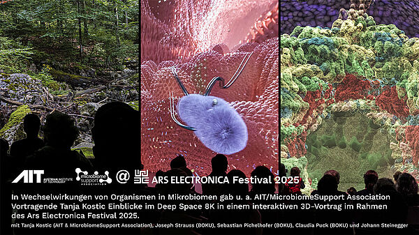 Flyer für das ARS Electronica Festival 2025 für den Vortrag von Tanja Kostic
