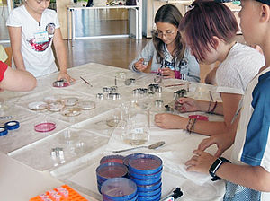Kinder sitzen um einen Tisch mit vielen offenen Petrischalen und gestalten Muster mit Hilfe von Pilzen