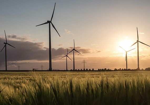 Windräder auf Wiese