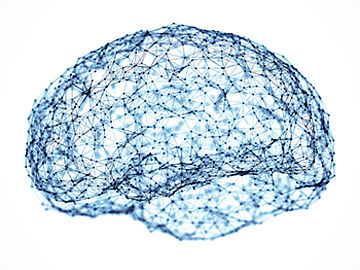 abstraktes Gehirn mit einem Netzwerk eingezeichnet