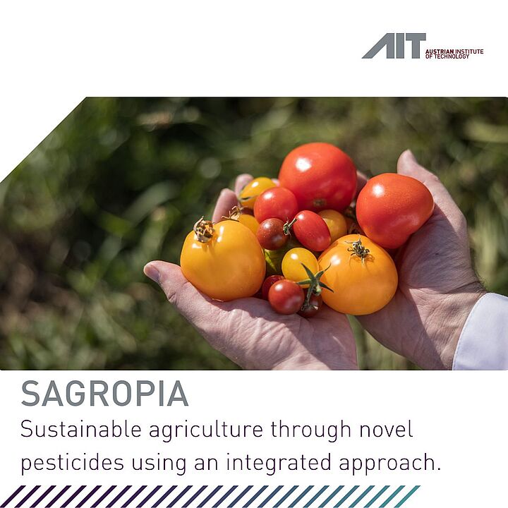 SAGROPIA - AIT leitet das EU Projekt SAGROPIA  für umweltfreundlichen Pflanzenschutz