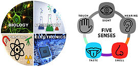 image picture with the 5 senses and biology, physics, chemistry and electronics