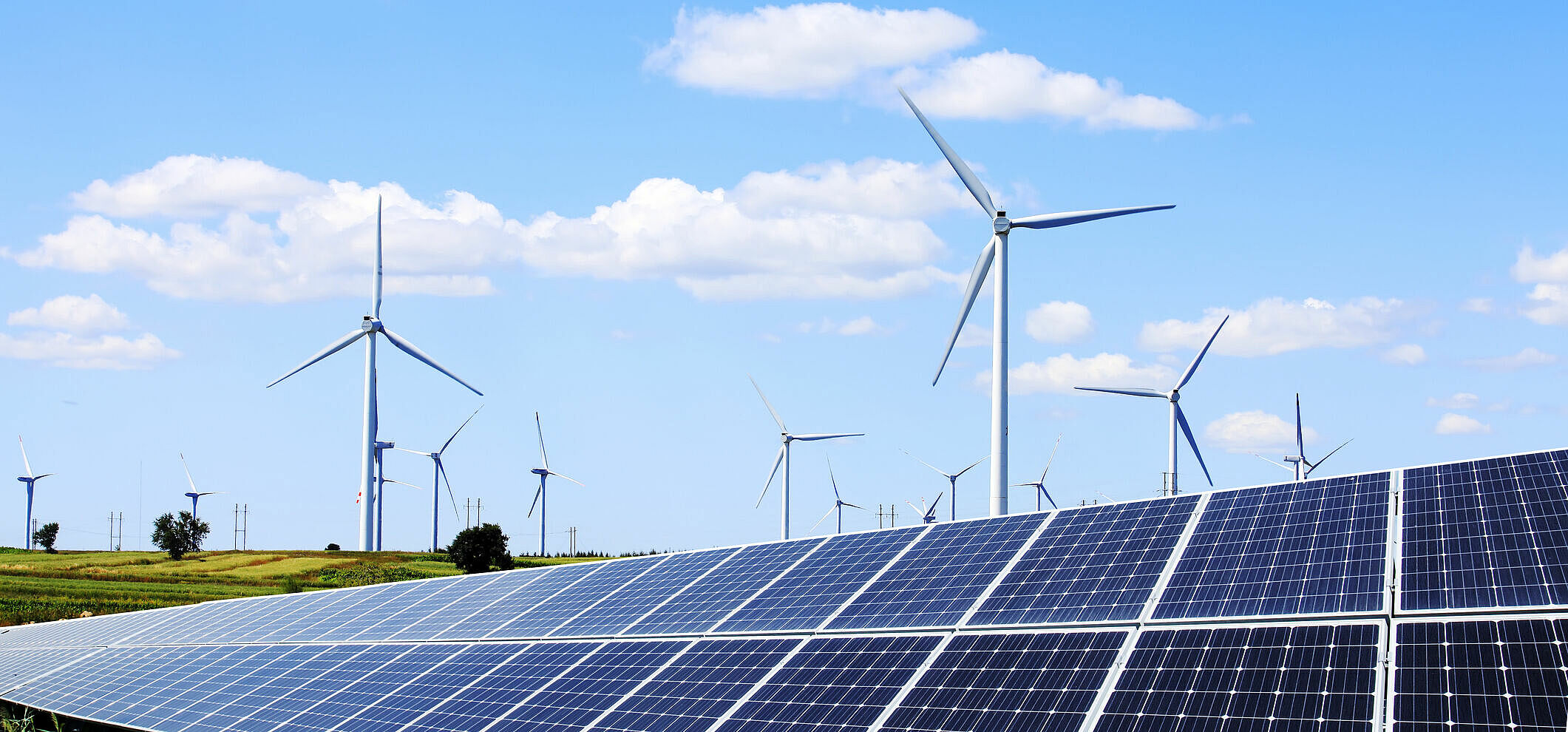 Symbolbild: im vordergrund sieht man Solaranlagen und im Hintergrund sieht man Windräder auf einer freien Fläche