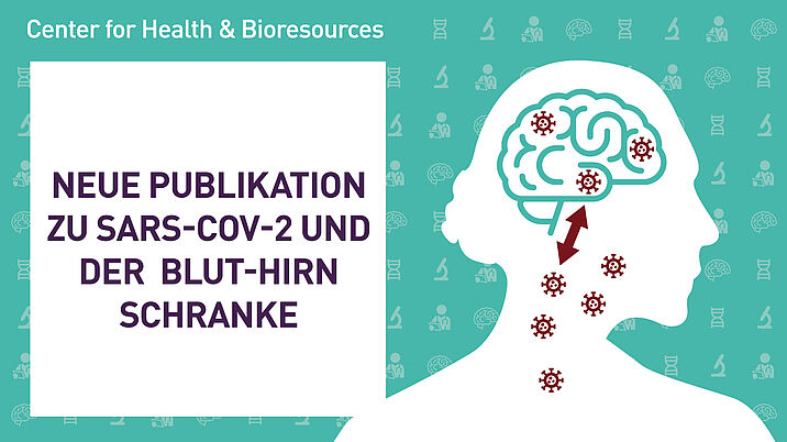 Neue Publikation zu SARS-CoV-2 und der Blut-Hirn-Schranke aus dem Center for Health and Bioresources