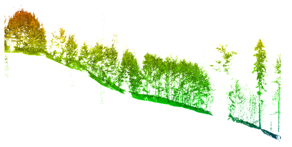 Point cloud in different colors shows profile of a wooded slope
