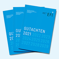 EFI Gutachten 