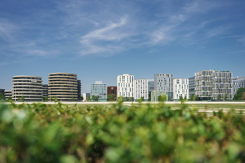 Frau Lackner/Viertel Zwei