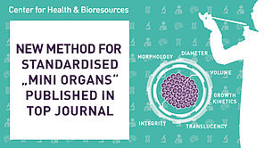 Zentrum für Gesundheit & Bioressourcen: Neue Methode für stadarisierte "Mini-Organe" in Top-Journal veröffentlicht. Eine organoide Zelle und Messungen. 