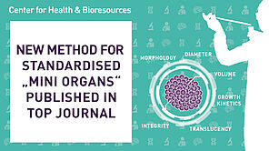 Zentrum für Gesundheit & Bioressourcen: Neue Methode für stadarisierte "Mini-Organe" in Top-Journal veröffentlicht. Eine organoide Zelle und Messungen. 