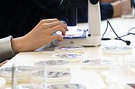 Nahaufnahme Probe-Schalen und Mikroskop