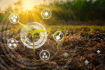 Feld mit Symbolen aus dem Landwirtschaftssystems 