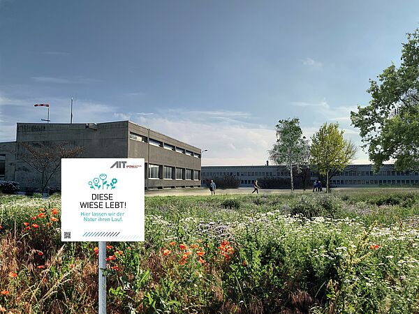 Vor einer Wiese mit blühenden, bunten Blumen steht ein Schild auf dem zu lesen ist: "Diese Wiese lebt! Hier lassen wir der Natur ihren Lauf."