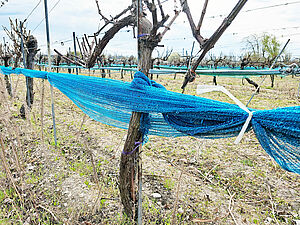 Plastiknetze auf landwirtschaftlichen Flächen