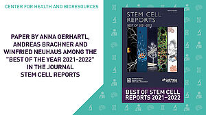 Paper by Anna Gerhartl, Andreas Brachner and Winfried Neuhaus among the "Best of the Year 2021-2022" in Stem Cell Reports  