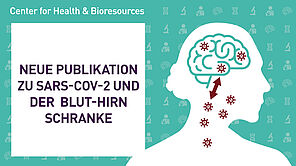 Neue Publikation zu SARS-CoV-2 und der Blut-Hirn-Schranke aus dem Center for Health and Bioresources