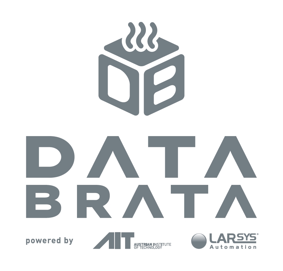 DATA BRATA Logo