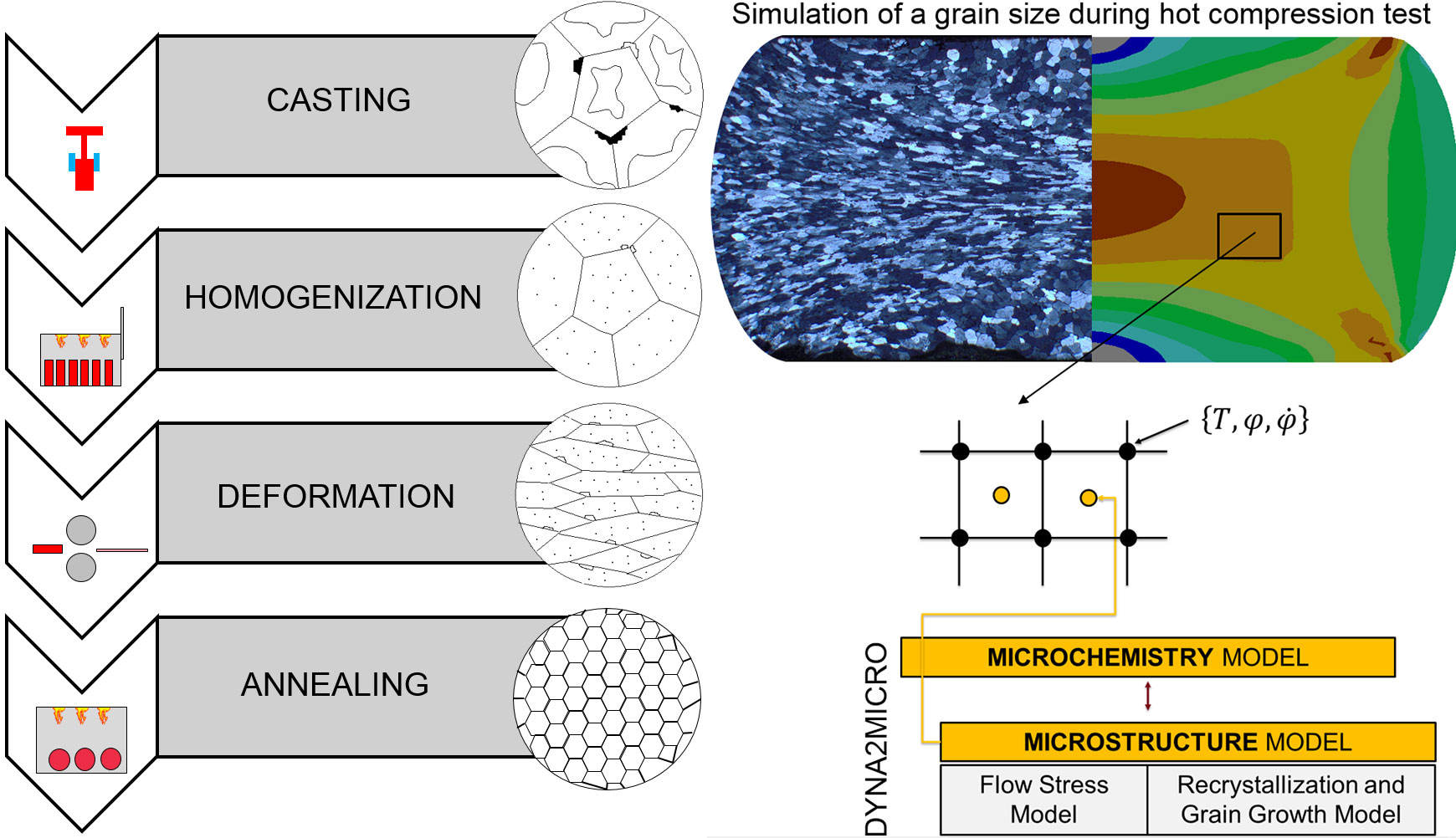 left: 4 process steps, right: calculation of simultaneous microstructural phenomena